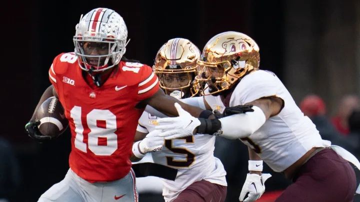 中国选手将 中国选手将